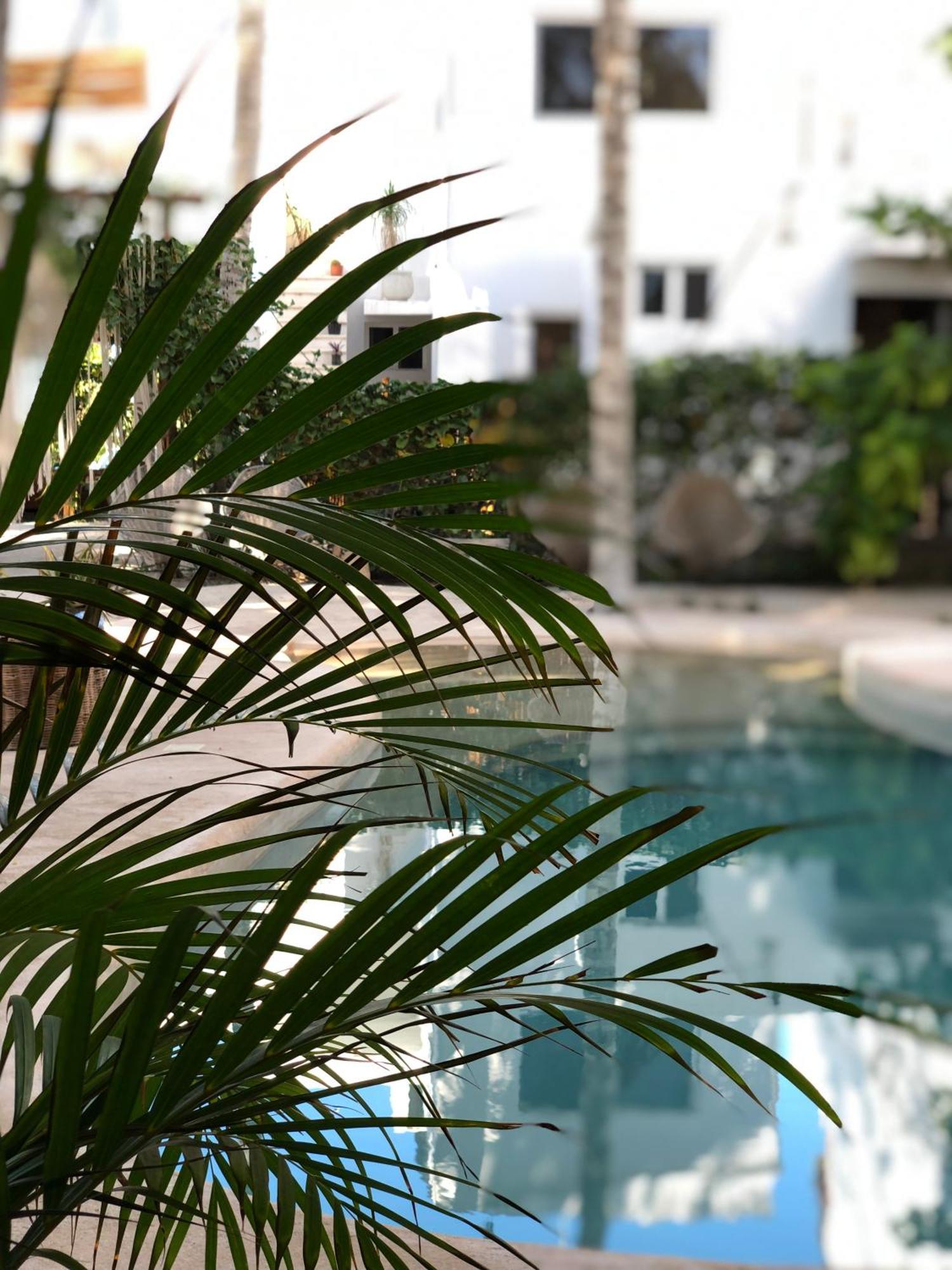 Hotel Boutique Can Cocal El Cuyo Exterior foto